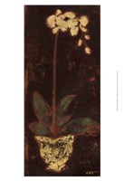 Framed Gilded Orchid I