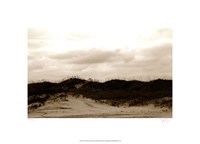 Framed Ocracoke Dune Study I