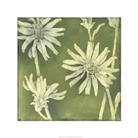 Framed Verdigris Blossoms III
