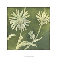 Framed Verdigris Blossoms IV