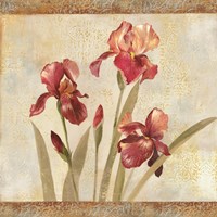 Framed Iris Tapestry I