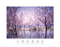 Framed Change - There is Nothing Permanent Except Change