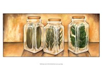 Framed Spice Jars II
