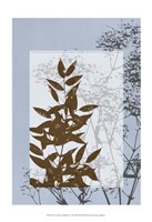 Framed Sm Translucent Wildflowers V