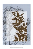 Framed Sm Translucent Wildflowers VI