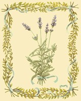 Framed 'Small Lavender' border=