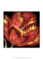 Framed Mini Transitional Tulip I