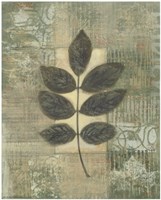 Framed Leaf Textures II