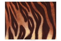 Framed Tiger I