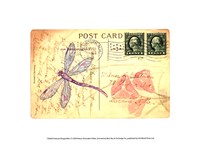 Framed Postcard Dragonfly I