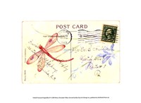 Framed Postcard Dragonfly IV