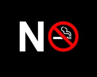 Framed No Smoking - NO SIGN (Small)