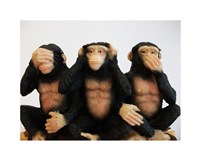 Framed Monkeys - See No Evil, Hear No Evil, Speak No Evil