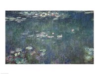 Framed Waterlilies: Green Reflections, 1914-18