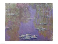 Framed Waterlilies, 1903 (purple)