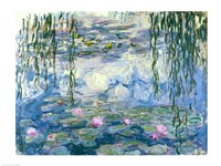 Framed Waterlilies, 1916-19