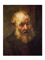 Framed Head of an Old Man, c.1650