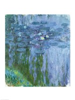 Framed Waterlilies (blue & green vertical)