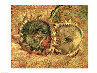 Framed Two Cut Sunflowers, 1887