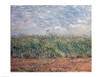 Framed Wheatfield with Lark, 1887