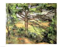 Framed Large Pine, 1895-97