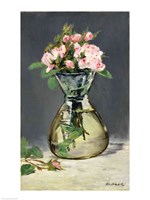 Framed Moss Roses in a Vase, 1882