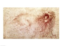 Framed Sketch of a roaring lion
