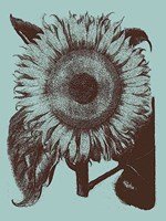 Framed Sunflower 18