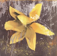 Framed Tulip Fresco (yellow)