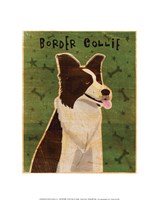 Framed Border Collie