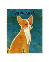 Framed Chihuahua (red)