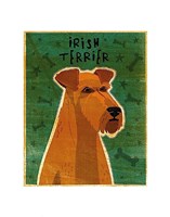 Framed Irish Terrier