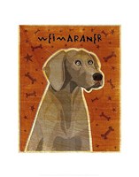 Framed Weimaraner