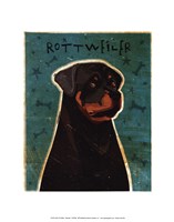 Framed Rottweiler