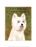 Framed West Highland White Terrier