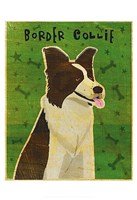 Framed Border Collie