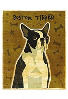 Framed Boston Terrier