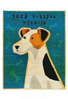 Framed Jack Russell Terrier