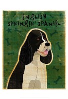 Framed English Springer Spaniel (black and white)