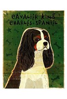 Framed Cavalier King Charles (tri-color)