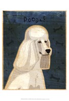 Framed Poodle (white)