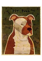 Framed Pit Bull