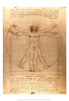 Framed Vitruvian Man