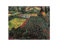 Framed Field of Poppies, Saint-Remy, c. 1889