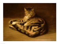 Framed Recumbent Cat, 1898