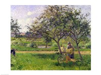 Framed Wheelbarrow, Orchard, c.1881