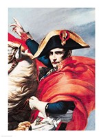 Framed Napoleon