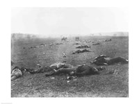 Framed Harvest of Death, Gettysburg, 1863