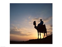 Framed Silhouette of a man on a camel, Giza, Egypt