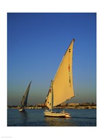 Framed Sailboats sailing in a river, Nile River, Luxor, Egypt
